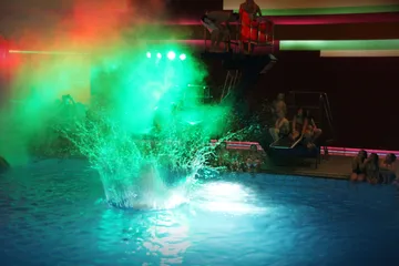 Showspringen